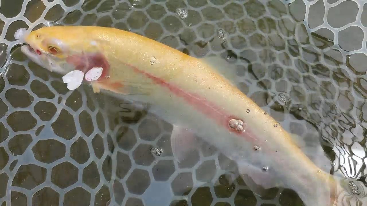 4月6日（月）入間市　寒いの苦手さん