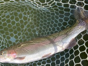 4月22日（水）入間市　寒いの苦手さん