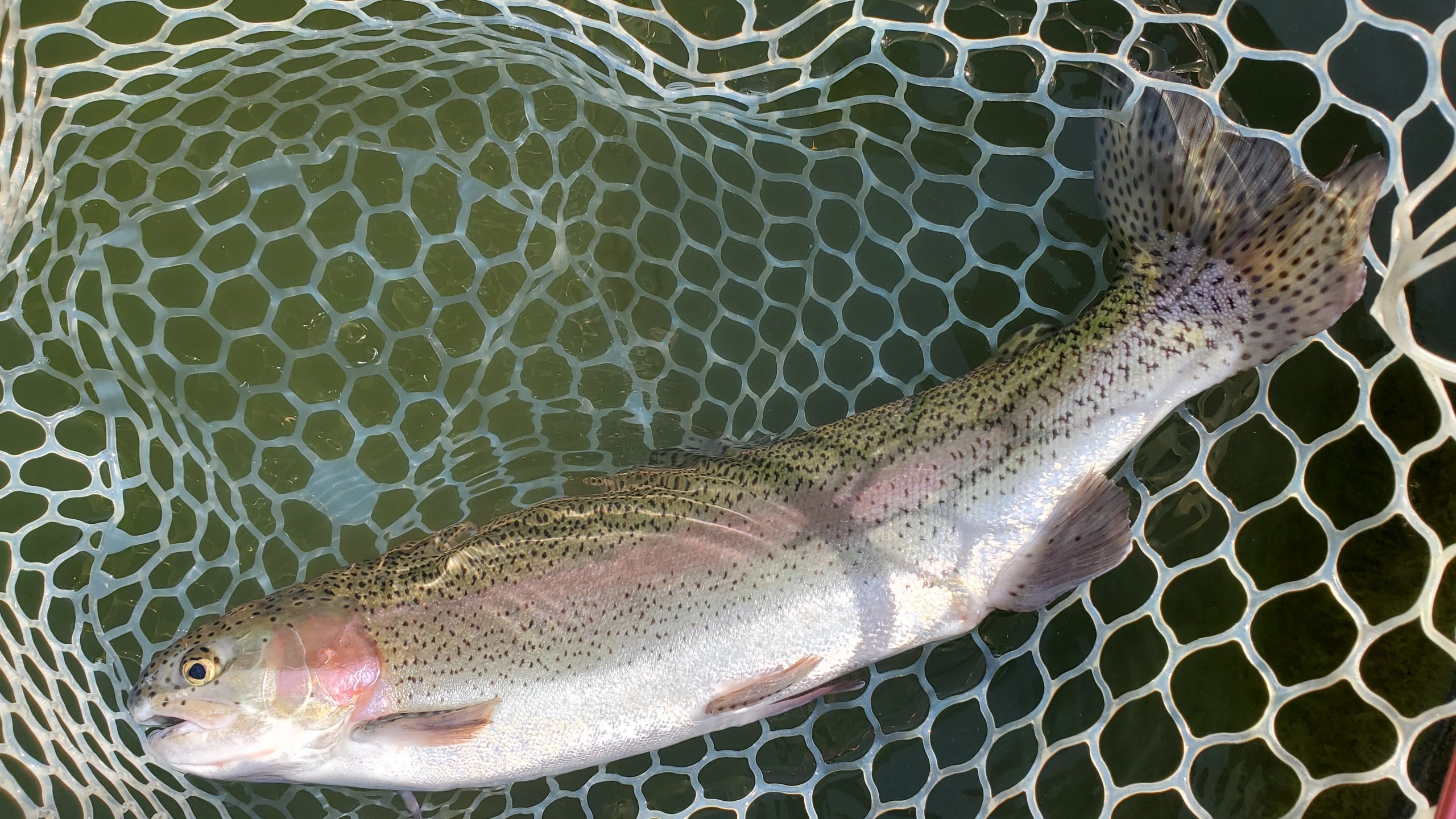 4月22日（水）入間市　寒いの苦手さん