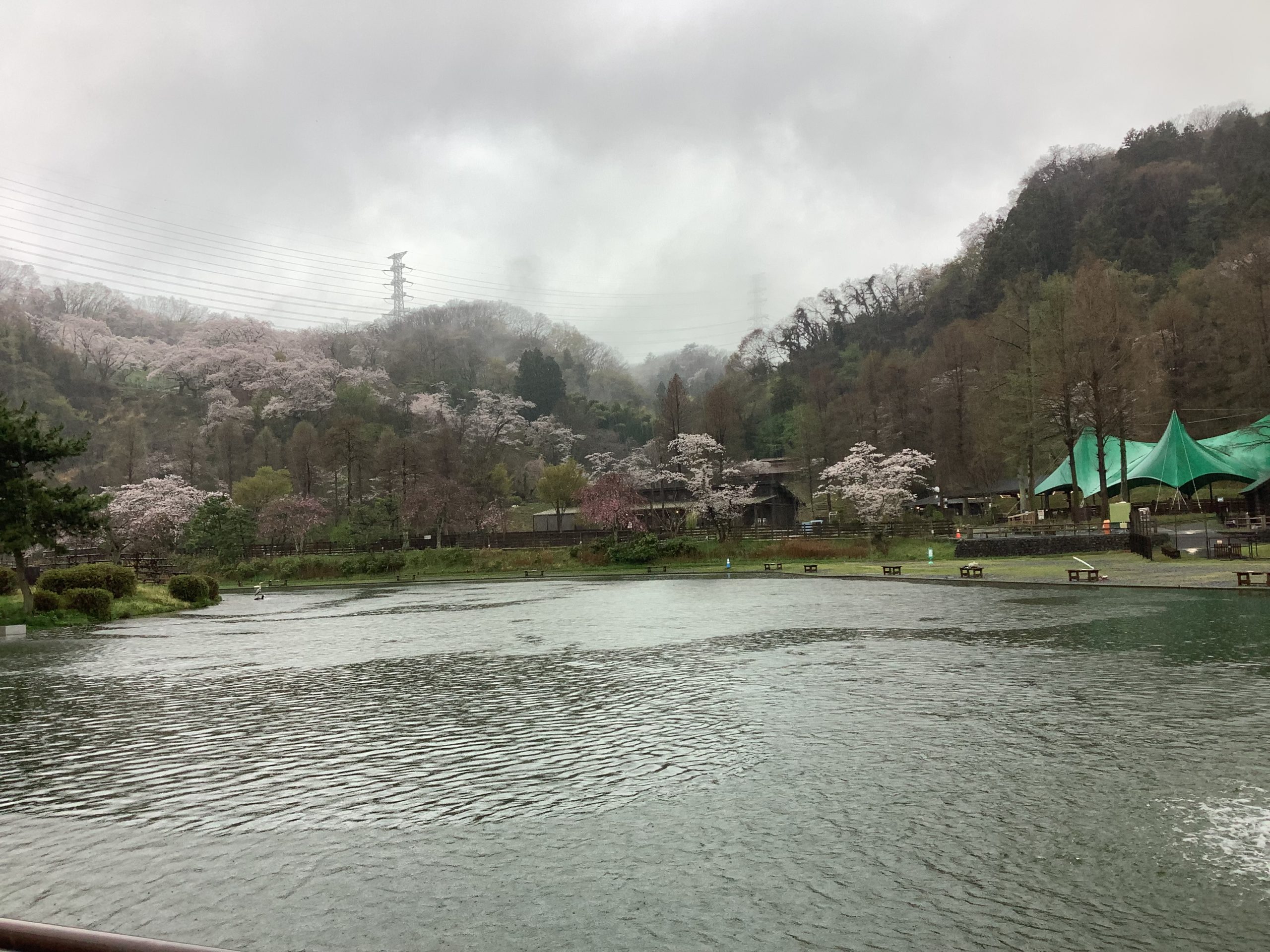4月1日（水）日記