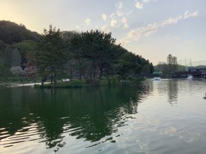 4月11日（土）　日記