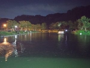 5月5日(火)　日記